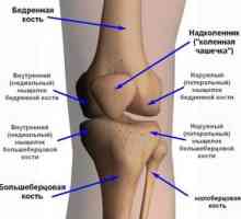 Aké sú ochorenia kolenného kĺbu: popis a mená