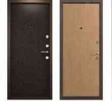 Ktoré kovové vstupné dvere sú považované za najlepšie a recenzie