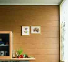 Ktoré stenové panely si vyberiete v kuchyni?