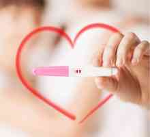 Čo môže byť výtok počas tehotenstva v počiatočnom štádiu?