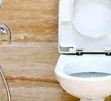 Ktorú hygienickú sprchu si môžete vybrať na toaletnú misku so zmiešavačom