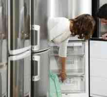 Kúpiť chladničku: tipy na výber najlepšej značky