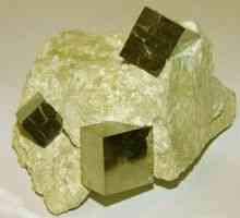 Kameň zdravia alebo zlato bláznov je minerálny pyrit