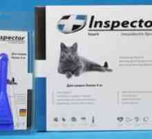 Drops inšpektor pre mačky - popis a inštrukcie