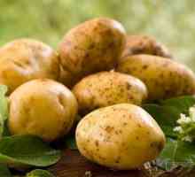 Šťastie zemiakov: rysy kultivácie, popis odrody