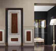Katalóg zbierok a cena interiérových dverí "Sofya"