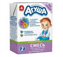 Kyslé mliečne výrobky Ingush, od koľko mesiacov môžete ponúknuť svoje dieťa