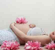Kedy sa má dieťa začať pohybovať v dvoch tehotenstvách?