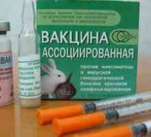 Kedy a prečo sa vykonáva očkovanie králikov
