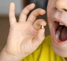 Kedy sa u detí vyskytujú domorodé zuby?