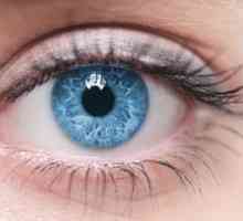 Konjunktiválny vak v oku: Čo je to, kde sa nachádza táto dutina?