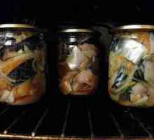 Konzervované jedlá z makrela doma - recepty
