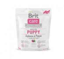 Prémiové jedlá "Brit" pre psov: vlastnosti, zloženie a výhody