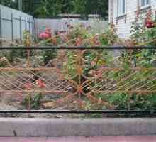 Krásny plot pre prednú záhradu s vlastnými rukami