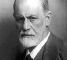 Stručne a zrozumiteľne o psychoanalýze Freuda