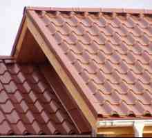 Strešná strecha: výber materiálu, výhody a nevýhody