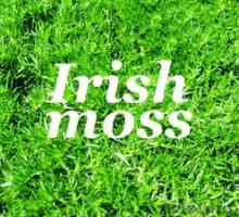 Liečivé vlastnosti írskych machov, recepty a recenzie