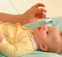 Terapeutické vlastnosti šťavy Kalanchoe: instilácia do nosa dieťaťa