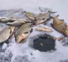 Chytľavý chvost v zime: tipy na úspešný zimný rybolov z ľadu
