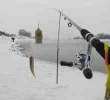 Chytanie na podávači z ľadu: výber výstroja a tajomstvo rybolovu v zime