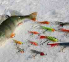 Najlepšie riešenie pre zimný rybolov pre veľký ostriež