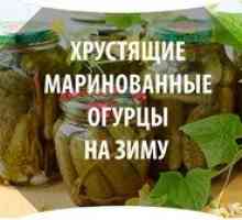 Marinované uhorky na zimu: recepty na lahodné uhorky nakladačky