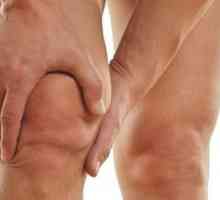 Meniskus kolenného kĺbu: príznaky a fotografie
