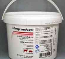 Metronidazol: návod na použitie pre hydinu