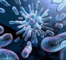 Mykoplazmóza: príznaky a liečba ochorenia u mužov