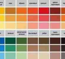 Umývateľná farba na steny v kuchyni - typy a výrobcovia