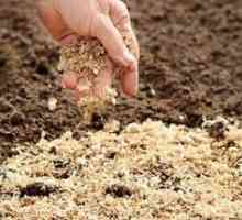Mulčovanie pôdy - čo je to a ako to správne urobiť?