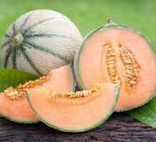 Plátok melónového melónu: odrody, zloženie a aplikácia