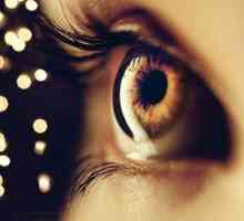 Svaly očnej bulvy a ich okulomotorické funkcie