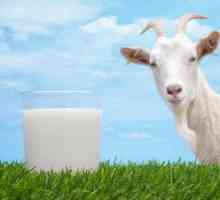 Prírodné kozie mlieko a jeho priaznivé vlastnosti