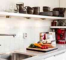 Závesné police pre kuchyňu: prehľad rôznych modelov s fotografiou