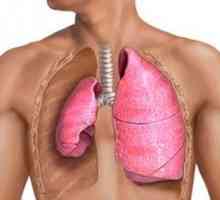 Obturačná a kompresná atelectáza pľúc: čo to je?