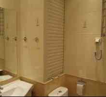 Usporiadanie skrine v toalete, sanitárne dvere a ich typy