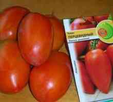 Popis a vlastnosti paradajkového korenia