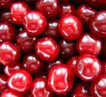 Cherry Cherry Cherry Popis