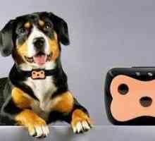 Obojok pre psov s GPS - navigátor a tracker pre psov