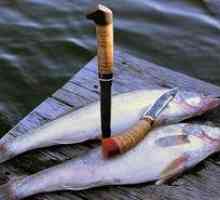 Základné modely rybárskych nožov pre rybolov