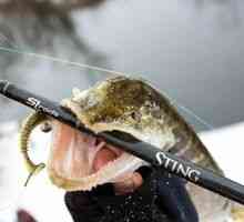 Vlastnosti rybolovu na zimné spinning