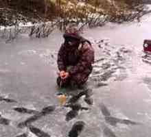 Vlastnosti rybolovu v zimnej sezóne