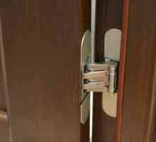 Vlastnosti inštalácie skrytých slučiek pre interiérové ​​dvere