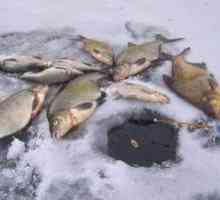 Vlastnosti výberu rybárskej línie pre ľadovo studený zimný rybolov
