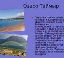 Jazero Taimyr: geografia, podnebie, flóra a fauna
