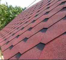 Výhody a nevýhody strechy bitúmenových mokrých šindľov