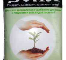 Ako hnojivo z popola ako cenné hnojivo pre rastliny