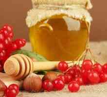 Užitočné vlastnosti vitamínu s medom