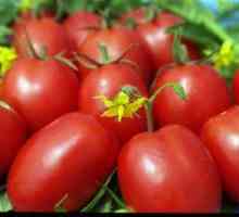 Tomato de baro: charakteristika a opis